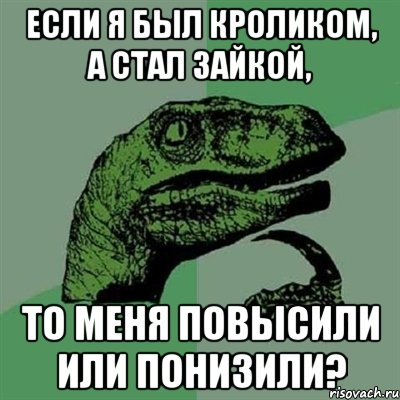 если я был кроликом, а стал зайкой, то меня повысили или понизили?, Мем Филосораптор