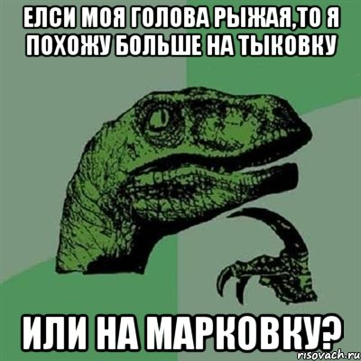 Елси моя голова рыжая,то я похожу больше на тыковку Или на марковку?, Мем Филосораптор