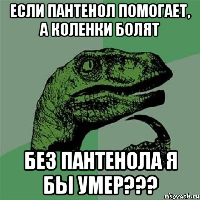 если пантенол помогает, а коленки болят без пантенола я бы умер???, Мем Филосораптор