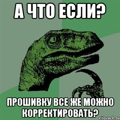 А что если? Прошивку все же можно корректировать?, Мем Филосораптор