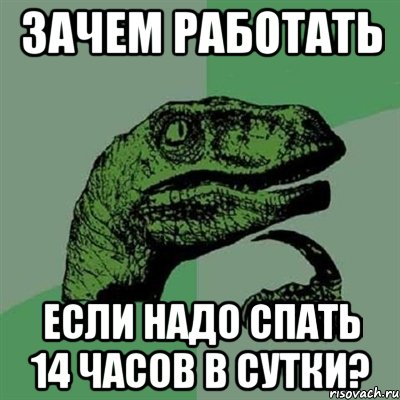 Зачем работать если надо спать 14 часов в сутки?, Мем Филосораптор