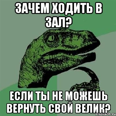 ЗАЧЕМ ХОДИТЬ В ЗАЛ? ЕСЛИ ТЫ НЕ МОЖЕШЬ ВЕРНУТЬ СВОЙ ВЕЛИК?, Мем Филосораптор