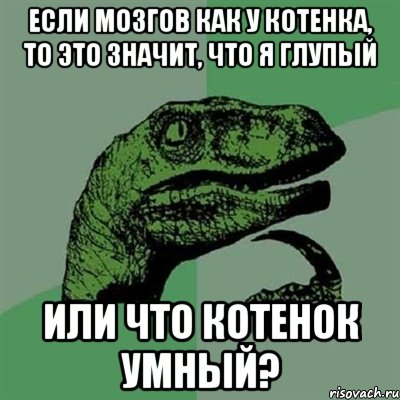 если мозгов как у котенка, то это значит, что я глупый или что котенок умный?, Мем Филосораптор