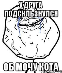 у друга подскльзнулся об мочу кота, Мем Forever Alone