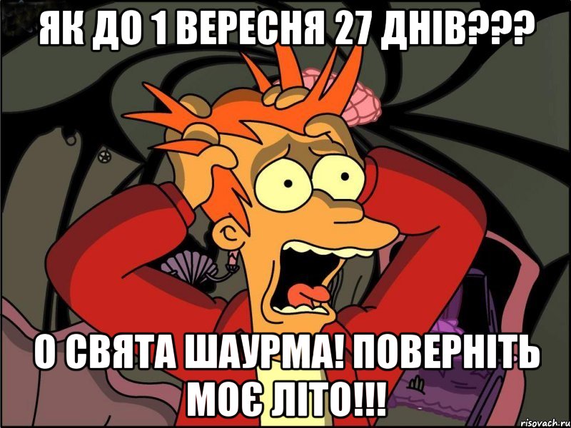 Як до 1 вересня 27 днів??? О свята шаурма! Поверніть моє літо!!!, Мем Фрай в панике