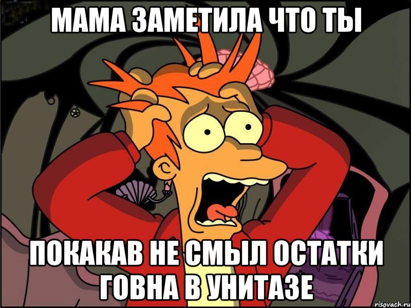 МАМА ЗАМЕТИЛА ЧТО ТЫ ПОКАКАВ НЕ СМЫЛ ОСТАТКИ ГОВНА В УНИТАЗЕ, Мем Фрай в панике