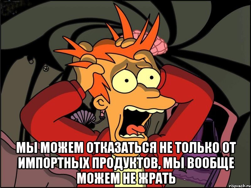  Мы можем отказаться не только от импортных продуктов, мы вообще можем не жрать, Мем Фрай в панике