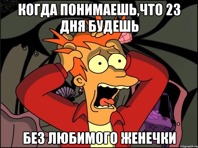 когда понимаешь,что 23 дня будешь без любимого Женечки, Мем Фрай в панике