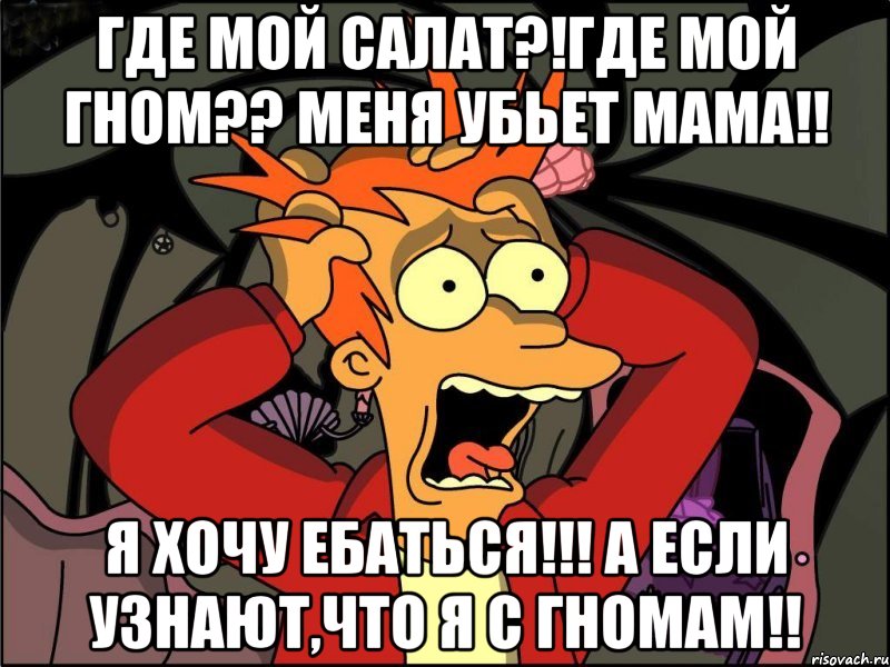 Где мой салат?!где мой гном?? Меня убьет мама!! Я хочу ебаться!!! А если узнают,что я с гномам!!, Мем Фрай в панике