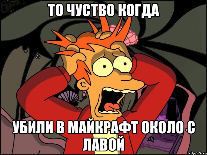 то чуство когда убили в майкрафт около с лавой, Мем Фрай в панике