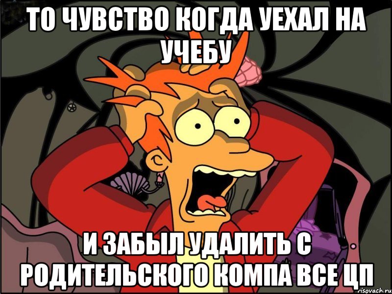 то чувство когда уехал на учебу и забыл удалить с родительского компа все цп, Мем Фрай в панике