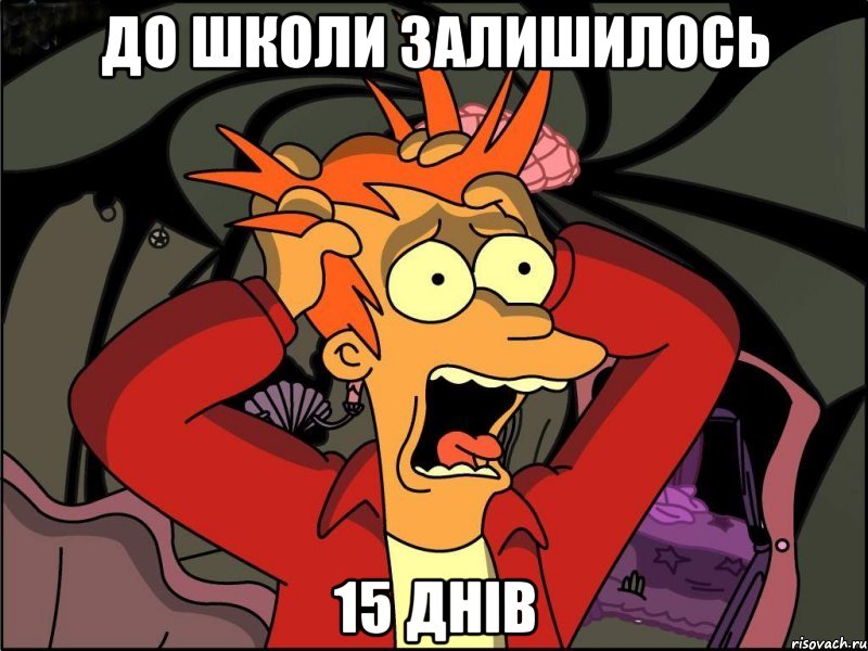 До школи залишилось 15 днів, Мем Фрай в панике