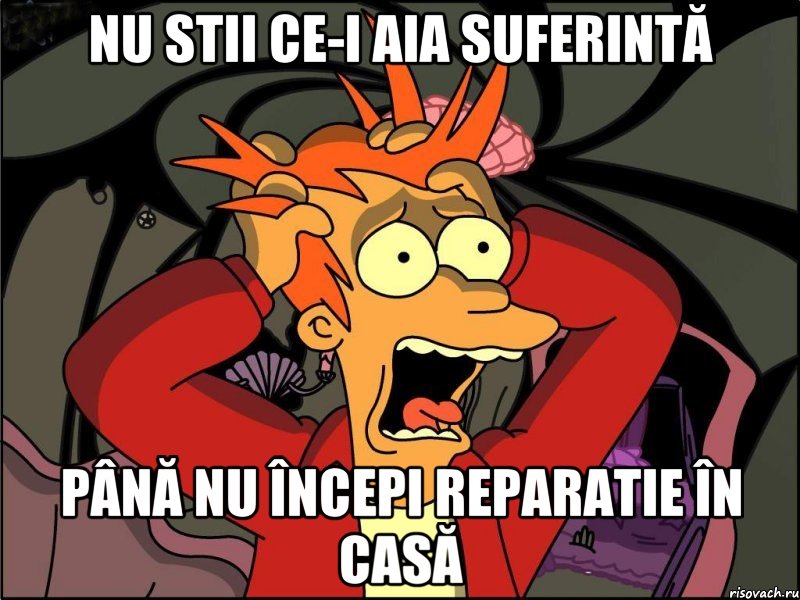 nu stii ce-i aia suferintă până nu începi reparatie în casă, Мем Фрай в панике