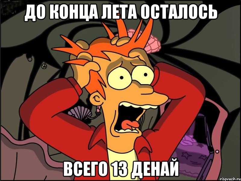 до конца лета осталось всего 13 денай, Мем Фрай в панике