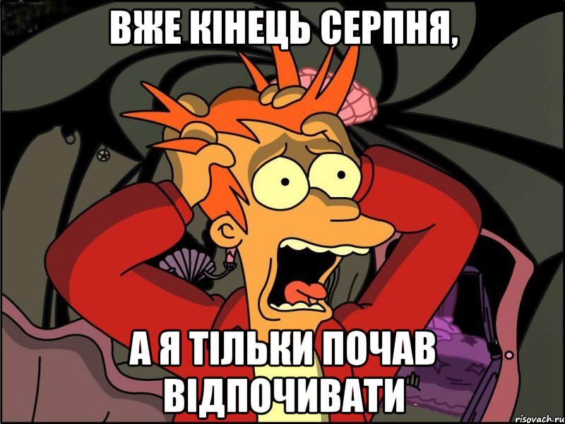 Вже кінець серпня, а я тільки почав відпочивати, Мем Фрай в панике