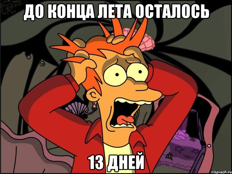 ДО КОНЦА ЛЕТА ОСТАЛОСЬ 13 ДНЕЙ, Мем Фрай в панике