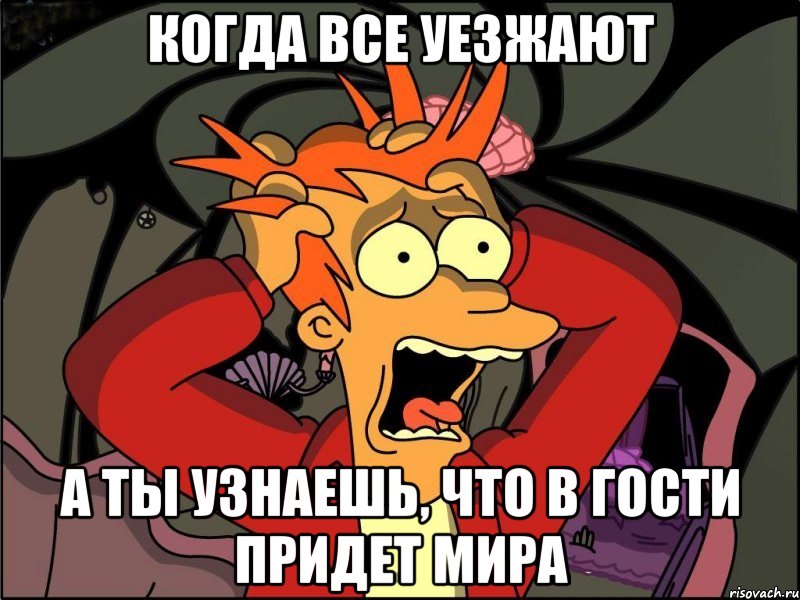 Когда все уезжают А ты узнаешь, что в гости придет МИРА, Мем Фрай в панике