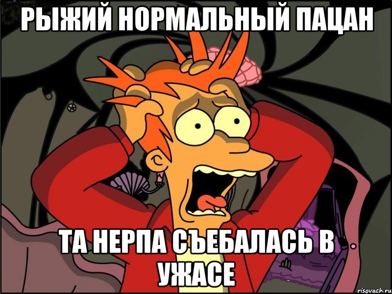 Рыжий нормальный пацан Та нерпа съебалась в ужасе, Мем Фрай в панике