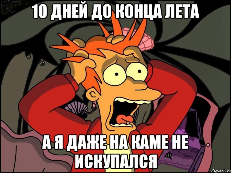 10 ДНЕЙ ДО КОНЦА ЛЕТА А Я ДАЖЕ НА КАМЕ НЕ ИСКУПАЛСЯ, Мем Фрай в панике