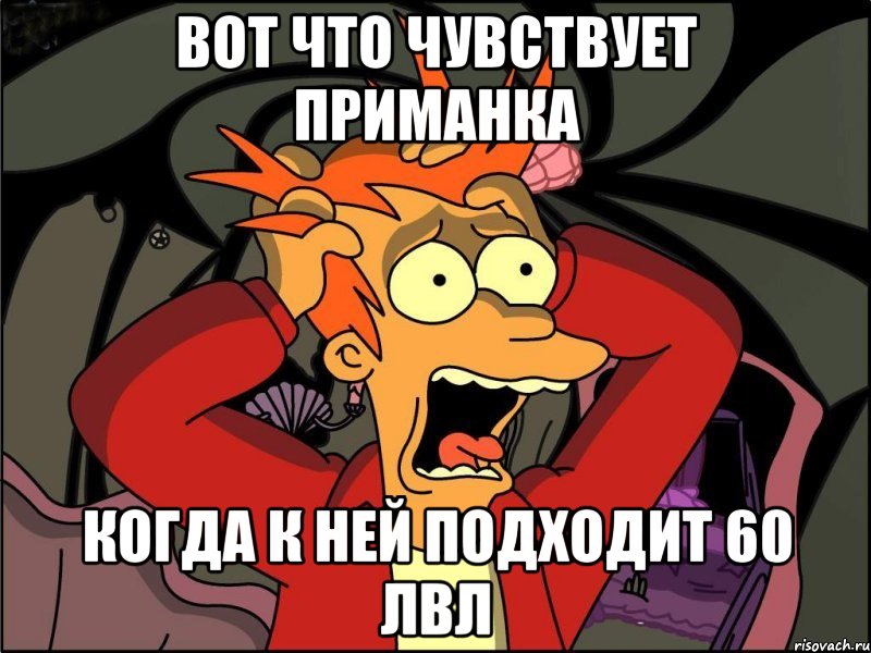 Вот что чувствует приманка Когда к ней подходит 60 лвл, Мем Фрай в панике