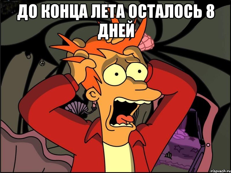 До конца лета осталось 8 дней , Мем Фрай в панике