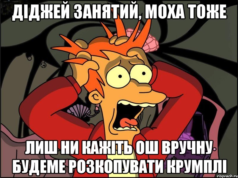 Діджей занятий, Моха тоже Лиш ни кажіть ош вручну будеме розкопувати крумплі, Мем Фрай в панике