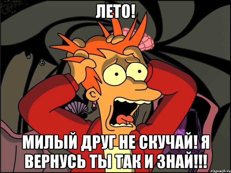 ЛЕТО! МИЛЫЙ ДРУГ НЕ СКУЧАЙ! Я ВЕРНУСЬ ТЫ ТАК И ЗНАЙ!!!, Мем Фрай в панике