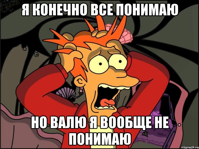 я конечно все понимаю но валю я вообще не понимаю, Мем Фрай в панике