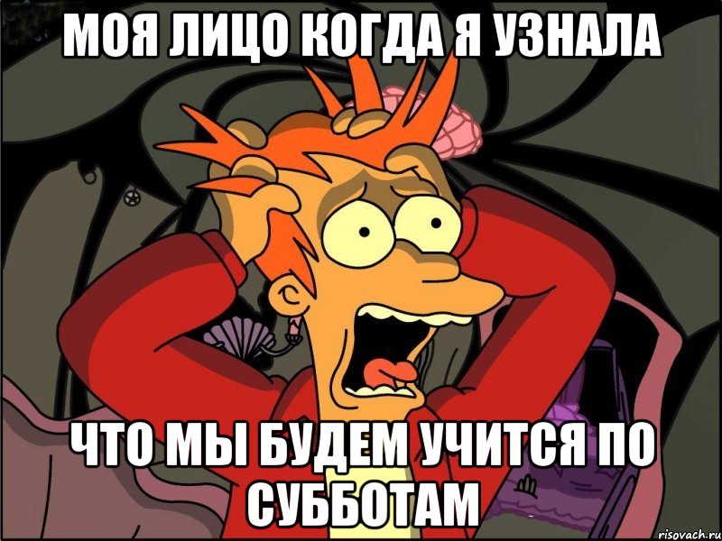 МОЯ ЛИЦО КОГДА Я УЗНАЛА ЧТО МЫ БУДЕМ УЧИТСЯ ПО СУББОТАМ, Мем Фрай в панике