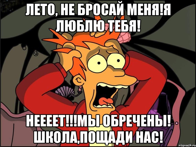 Лето, не бросай меня!Я люблю тебя! НЕЕЕЕТ!!!МЫ ОБРЕЧЕНЫ! ШКОЛА,ПОЩАДИ НАС!, Мем Фрай в панике