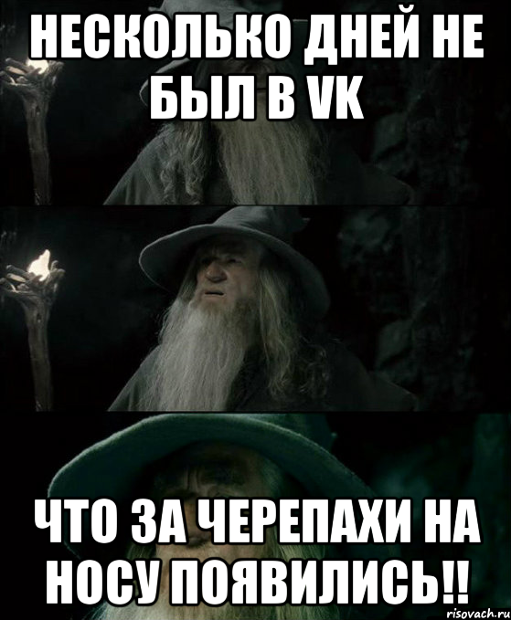 Несколько дней не был в VK Что за черепахи на носу появились!!, Комикс Гендальф заблудился