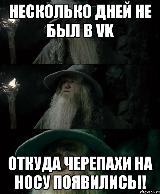 Несколько дней не был в VK Откуда черепахи на носу появились!!, Комикс Гендальф заблудился