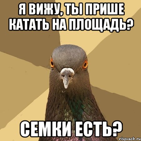 Я вижу, ты прише катать на площадь? Семки есть?, Мем голубь