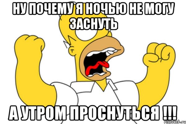 ну почему я ночью не могу заснуть а утром проснуться !!!, Мем Разъяренный Гомер