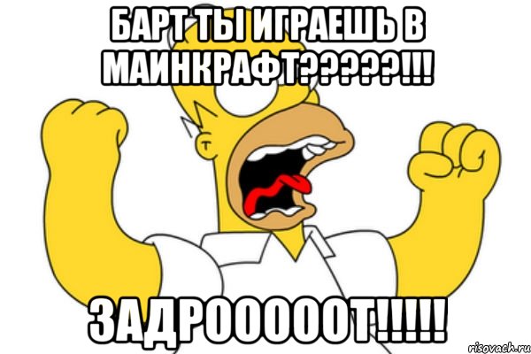 Барт ты играешь в маинкрафт?????!!! задрооооот!!!!!, Мем Разъяренный Гомер