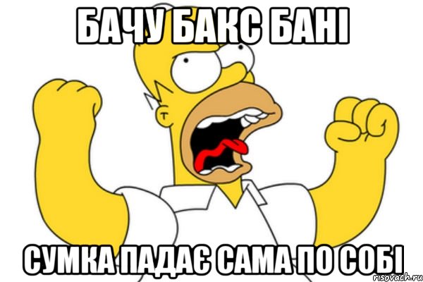 бачу бакс бані сумка падає сама по собі, Мем Разъяренный Гомер