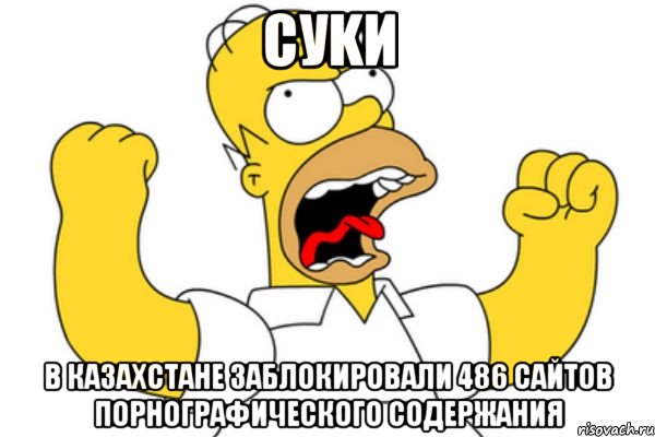 cуkи В Казахстане заблокировали 486 сайтов порнографического содержания, Мем Разъяренный Гомер