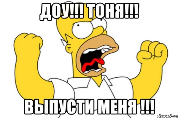 Доу!!! Тоня!!! Выпусти меня !!!, Мем Разъяренный Гомер