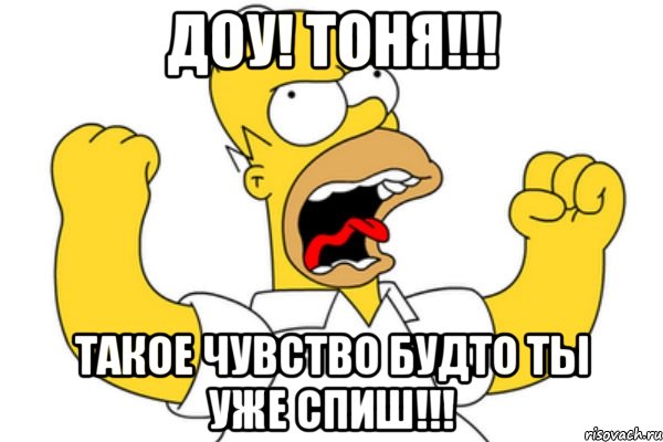 Доу! Тоня!!! Такое чувство будто ты уже спиш!!!, Мем Разъяренный Гомер