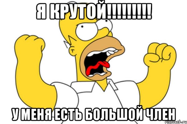 я крутой!!!!!!!!! у меня есть большой ЧЛЕН, Мем Разъяренный Гомер