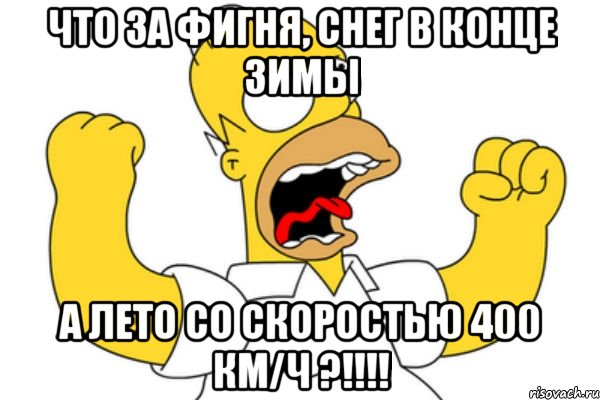 Что за фигня, снег в конце зимы А лето со скоростью 400 км/ч ?!!!!, Мем Разъяренный Гомер