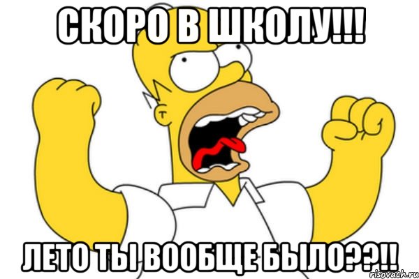 Скоро в школу!!! Лето ты вообще было??!!, Мем Разъяренный Гомер