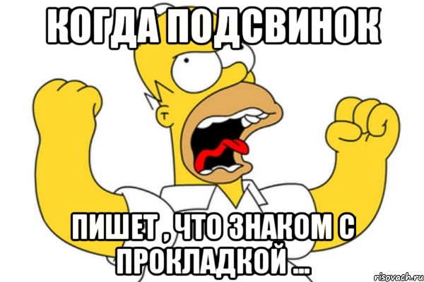 Когда подсвинок пишет , что знаком с прокладкой ..., Мем Разъяренный Гомер