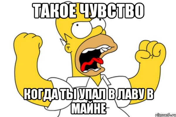 Такое чувство Когда ты упал в лаву в майне, Мем Разъяренный Гомер