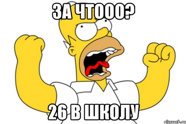 За чтооо? 26 в школу, Мем Разъяренный Гомер