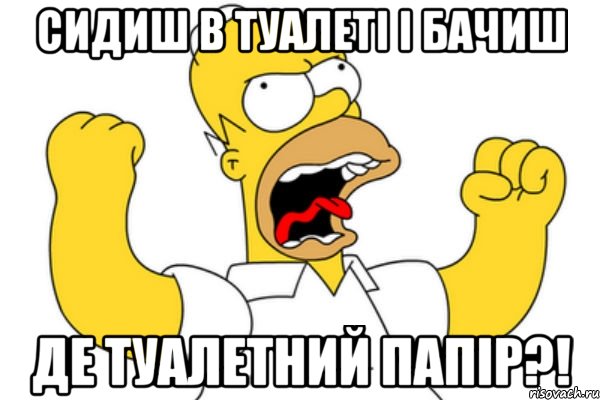 СИДИШ В ТУАЛЕТІ І БАЧИШ ДЕ ТУАЛЕТНИЙ ПАПІР?!, Мем Разъяренный Гомер