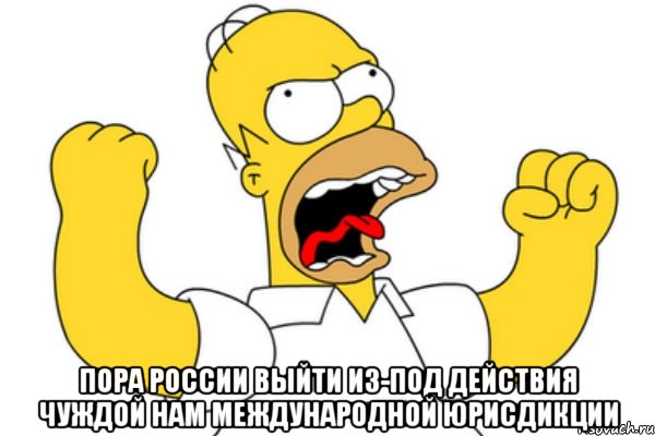  пора России выйти из-под действия чуждой нам международной юрисдикции, Мем Разъяренный Гомер