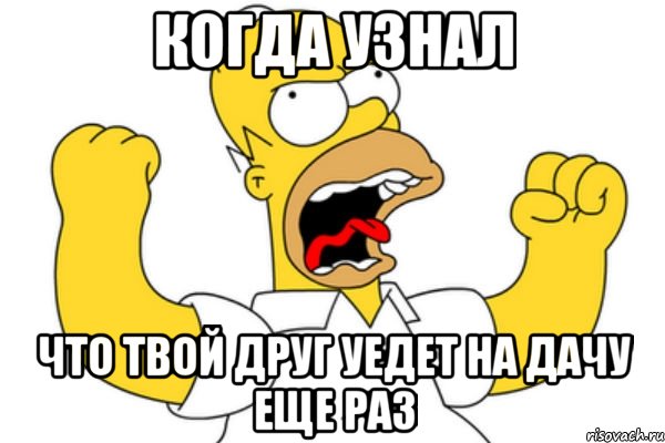 Когда узнал Что твой друг уедет на дачу еще раз, Мем Разъяренный Гомер