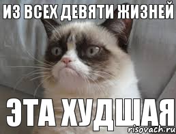 Из всех девяти жизней    Эта худшая, Комикс grumpy cat