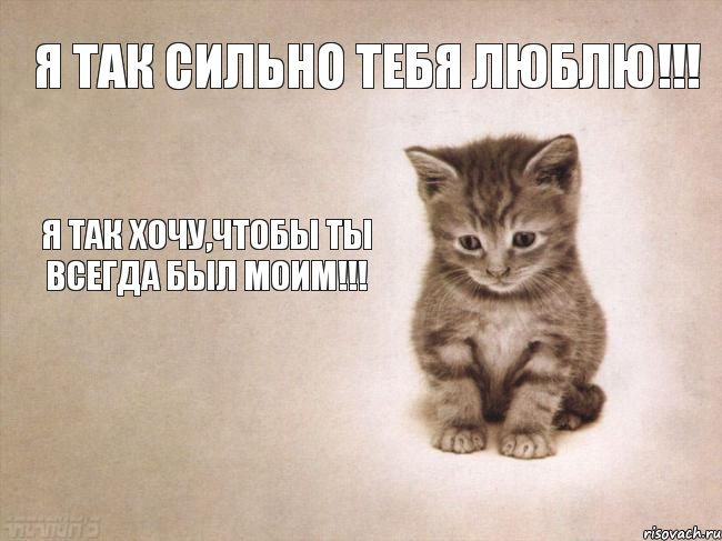 Я так сильно тебя люблю!!! Я так хочу,чтобы ты всегда был моим!!!, Комикс грусть-пичаль